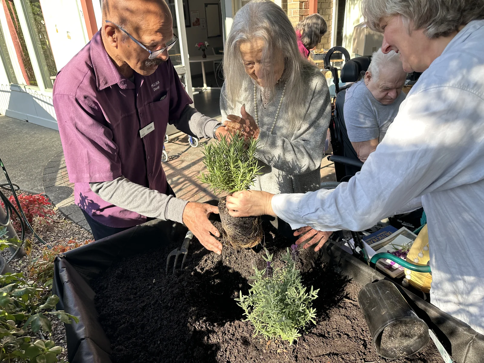 People holding and planting a flowering plant together at a raised garden bed